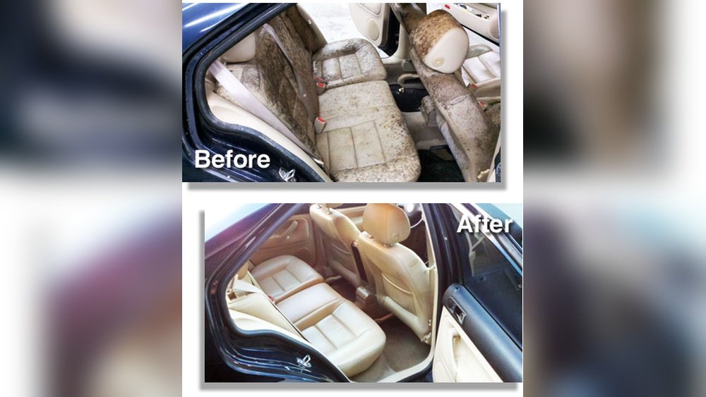 How to Clean Car Interior Mold: Easy Steps for a Fresh Ride