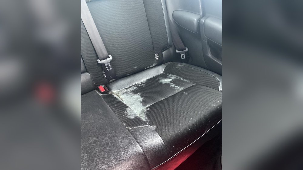 How to Clean Car Seat With Mold: Easy Steps for a Fresh Ride