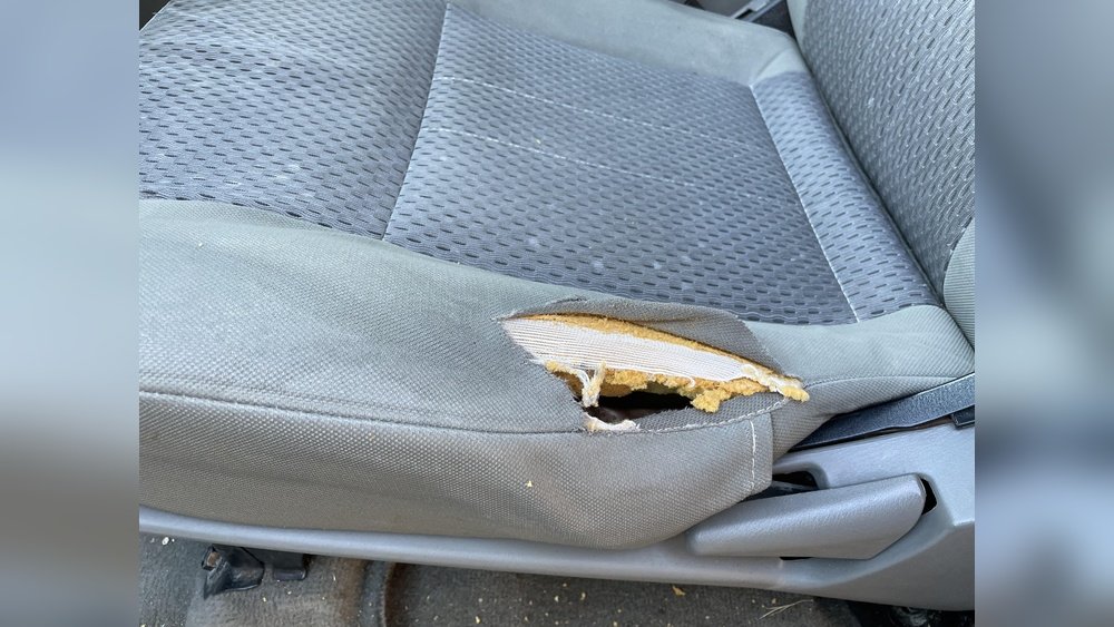 How to Fix Rip in Car Seat: Easy DIY Repair Tips That Work